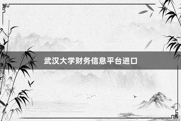武汉大学财务信息平台进口
