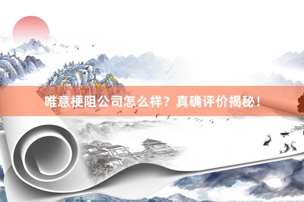 唯意梗阻公司怎么样？真确评价揭秘！