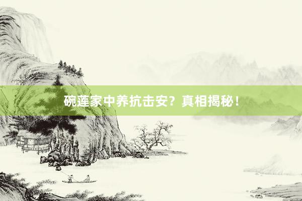碗莲家中养抗击安？真相揭秘！